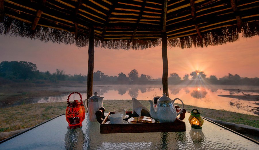 Breakfast in the Jungle  